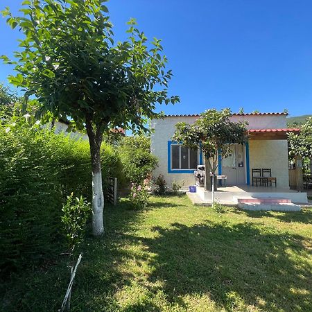 Elbasan Backpacker Hostel Eksteriør billede